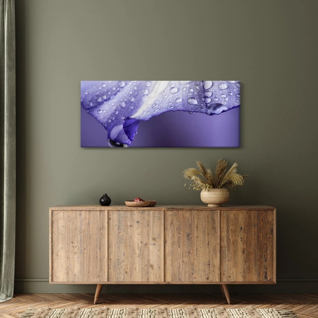 Tablou - Petală cu picături (120x50 cm)