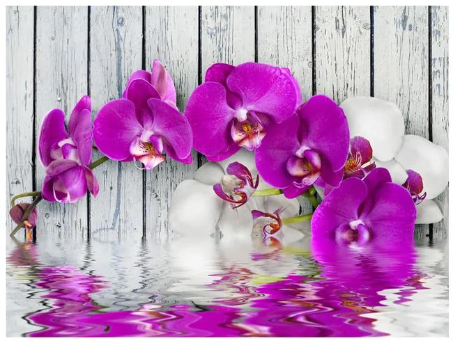 Fototapet - Violet orchids with water reflexion