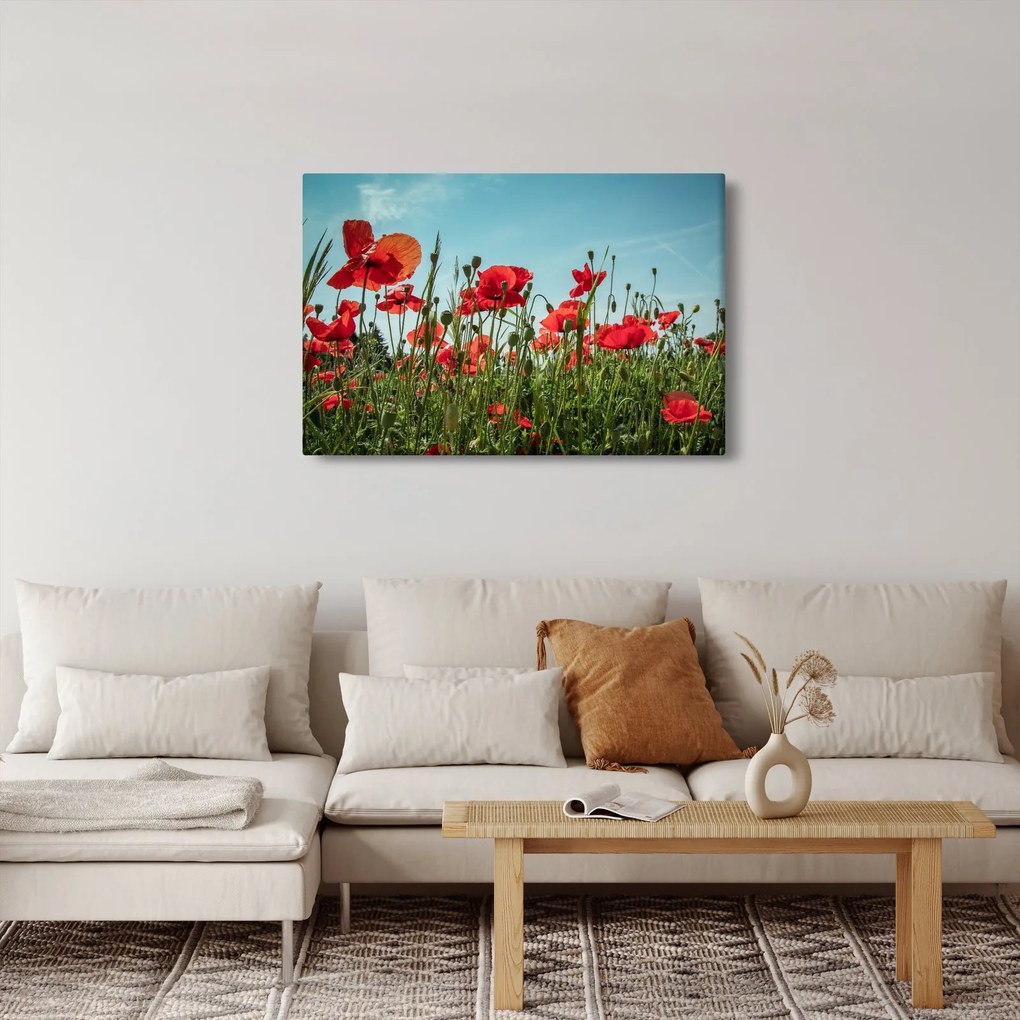 Tablou - Pe câmpul cu maci (90x60 cm)
