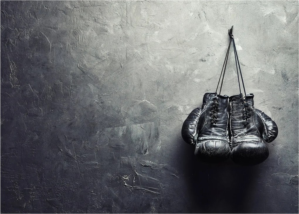 Tablou - Mănuși de box (70x50 cm)
