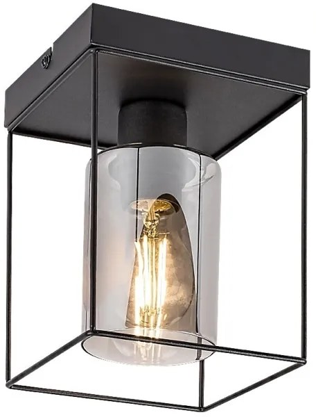 Rabalux 71031 - Plafonieră CHADWICK, 1xE27/25W/230V