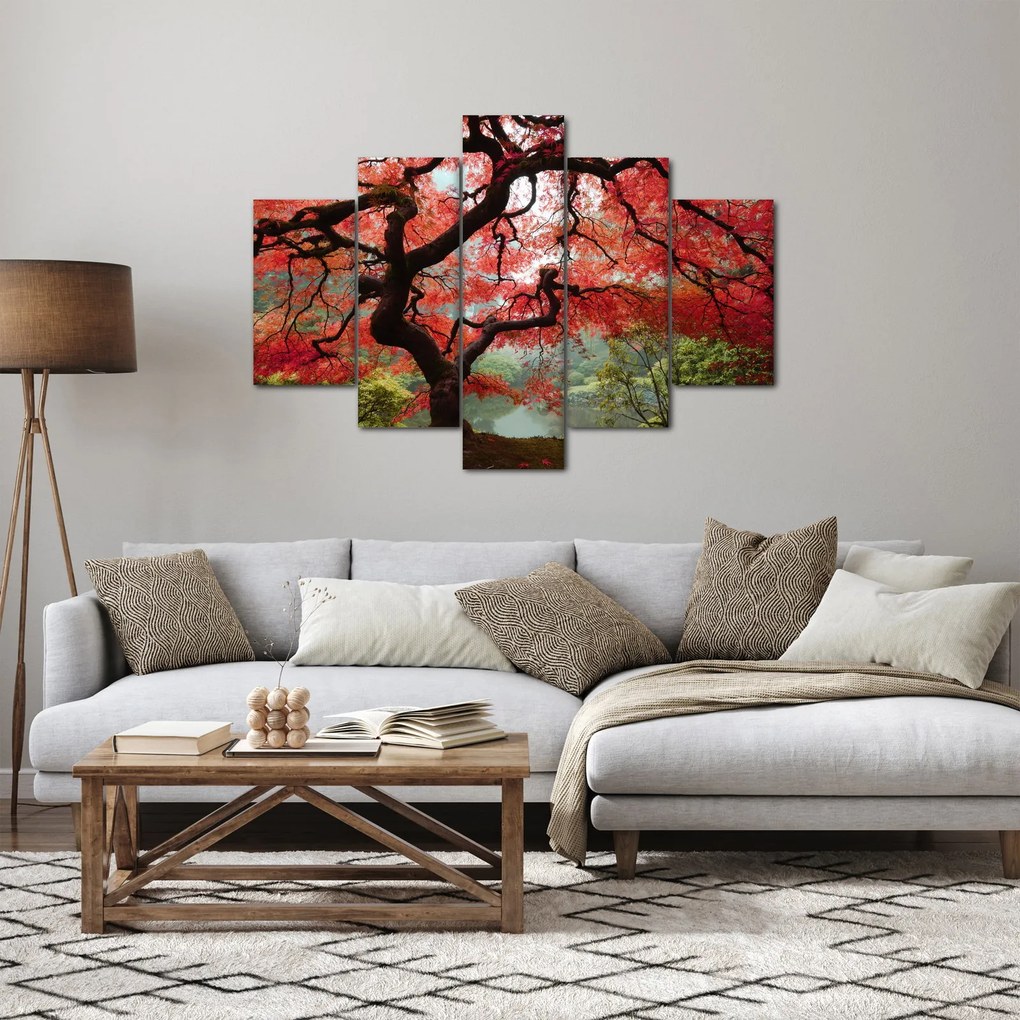 Tablou - Arțarul japonez roșu, Portland, Oregon (150x105 cm)