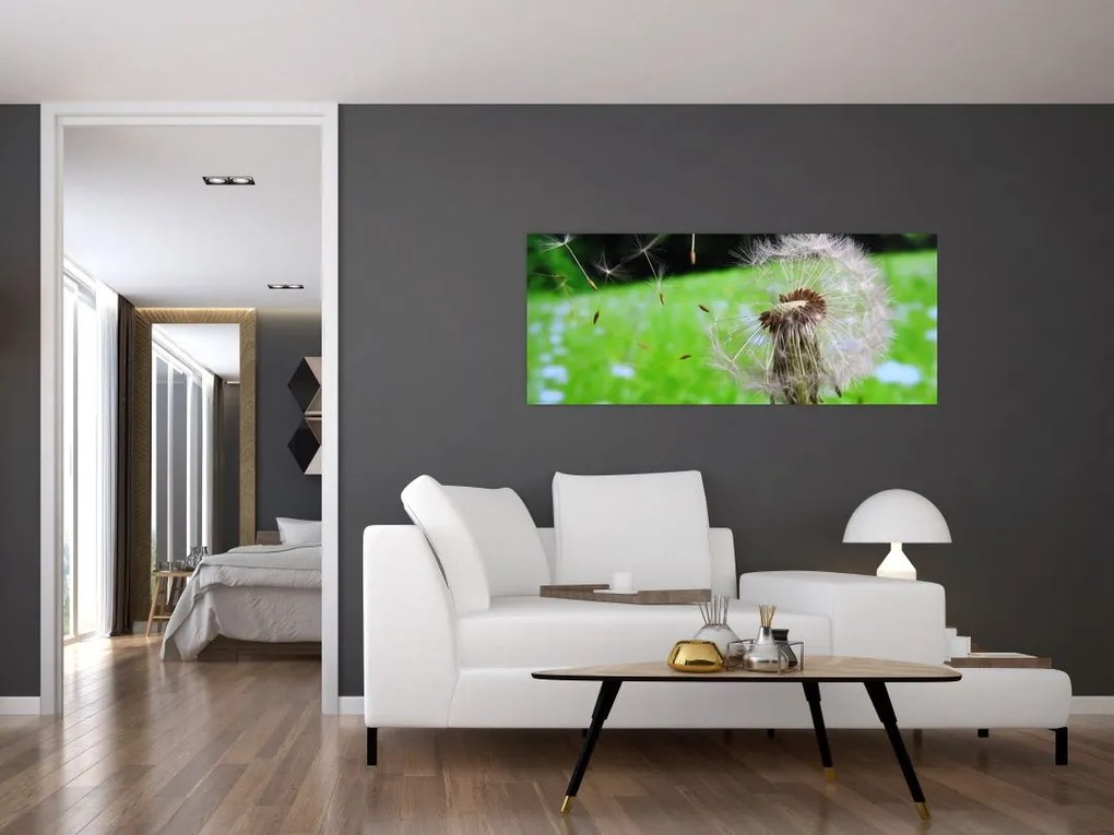Tablou cu păpădie (120x50 cm)