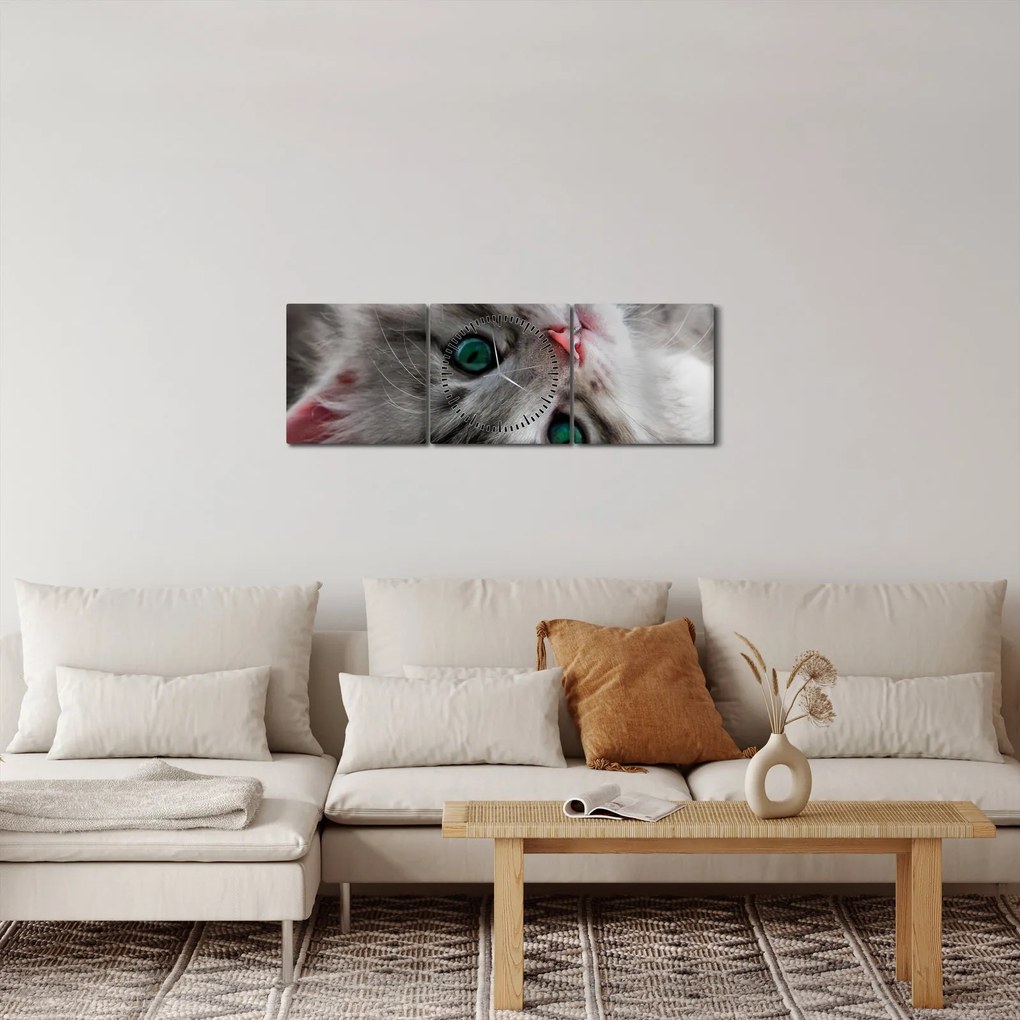 Tablou - Pisica cu ochi verzi (cu ceas) (90x30 cm)
