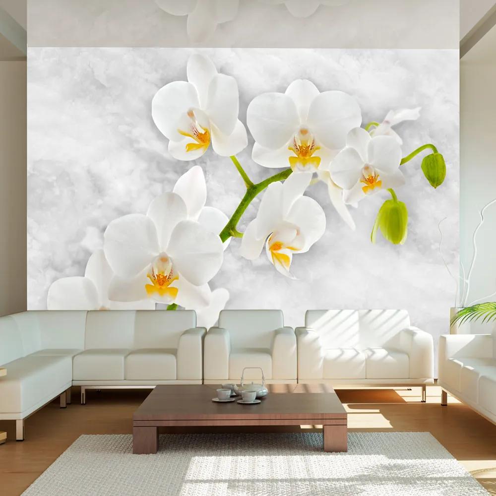 Fototapet Bimago - Lyrical orchid - White + Adeziv gratuit 400x280 cm