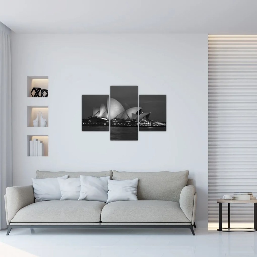 Tablou cu Opera din Sydney (90x60 cm)
