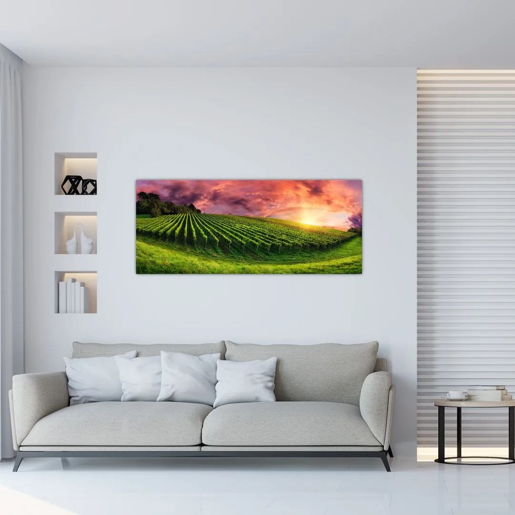 Tablou cu vie cu cerul color (120x50 cm)