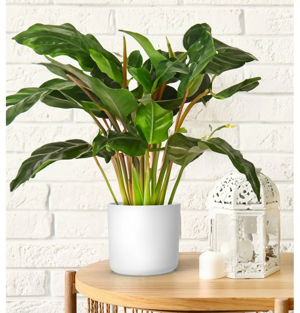 Ghiveci de flori Gardenico Lora alb, diametru 35cm, diam. 35 cm