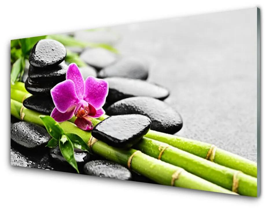 Tablou pe sticla Bamboo Tube flori Stones Arta Verde Rosu Negru