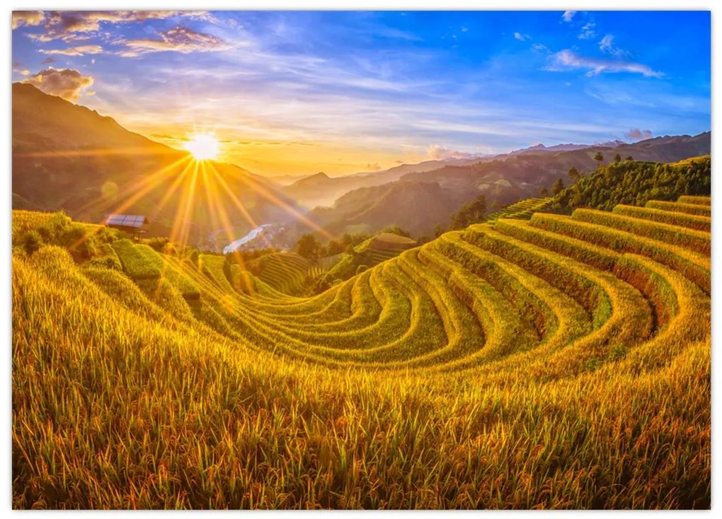 Tablou pe sticlă - Terasele de orez din Vietnam (70x50 cm)