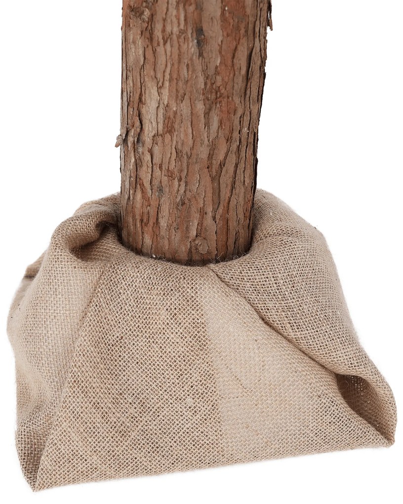 Pom de Crăciun cu suport, 210 cm, PNIK TIP 3