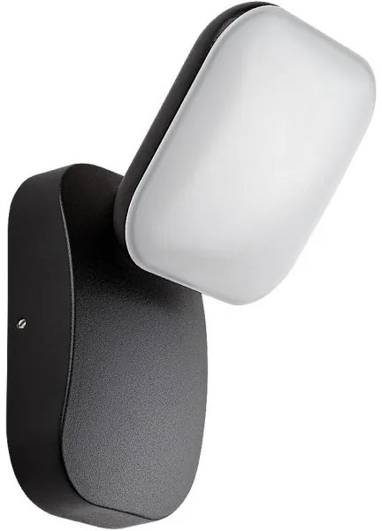 Aplică LED de exterior Rabalux 77057 ODIEL LED/12W/230V IP44 negru