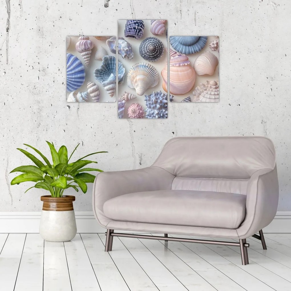 Tablou - Colecție de scoici (90x60 cm)