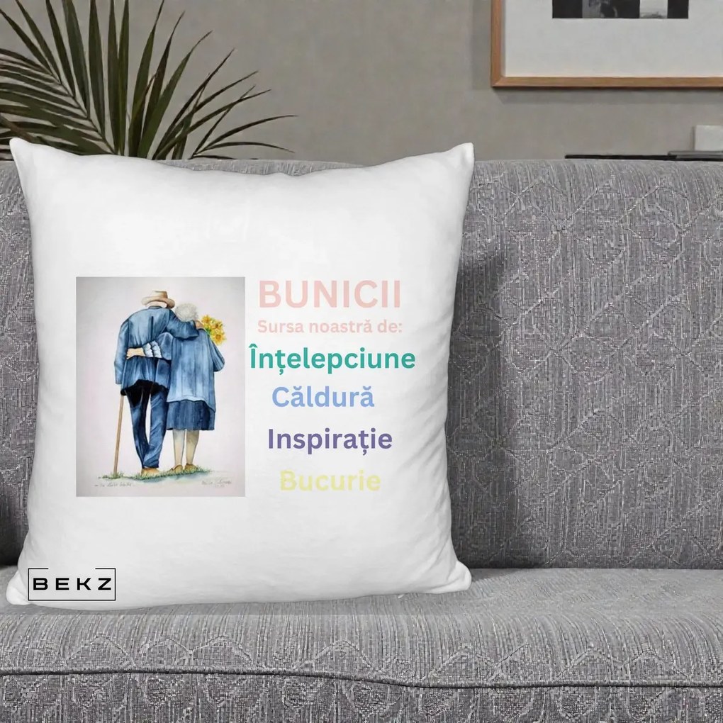 Cadou pentru Bunici - Perna Personalizata Bunicii Sursa Intelepciune Caldura Acuarela, 40x40 cm, Alb Pufos, Husa Detasabila, Perna Inclusa, BEKZ®