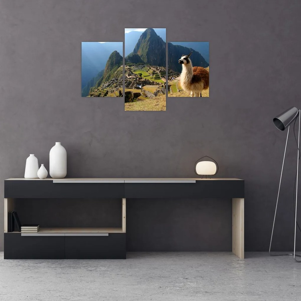 Tablou - Lama și Machu Picchu (90x60 cm)