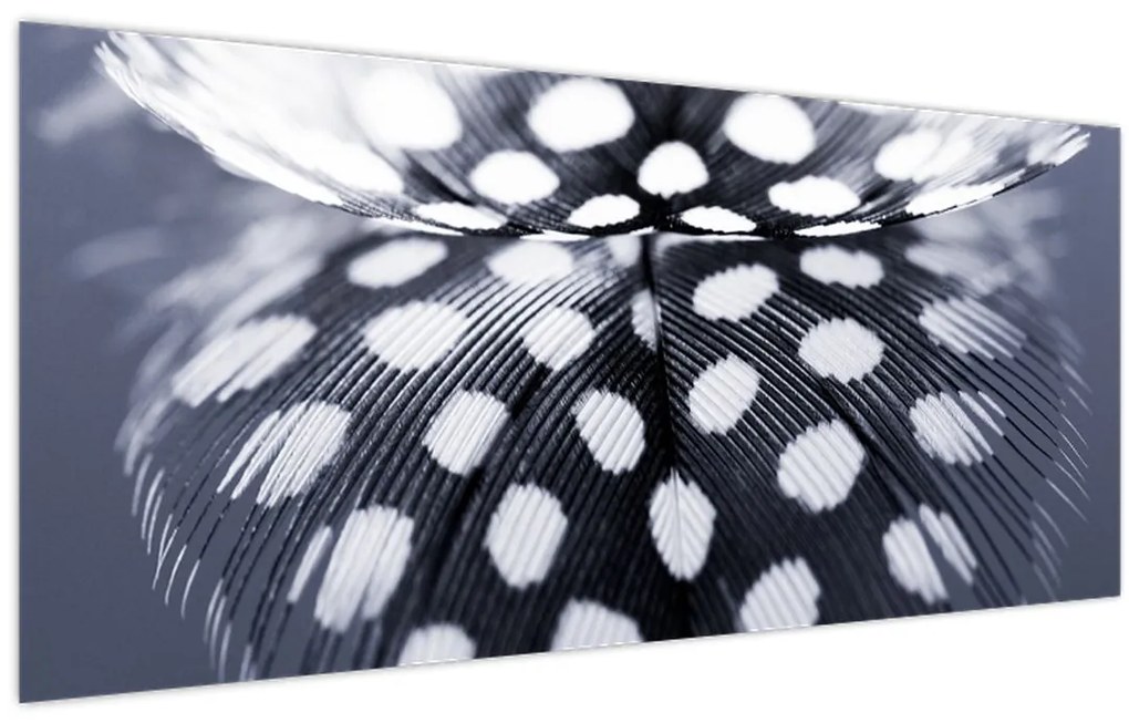 Tablou - Pană (120x50 cm)