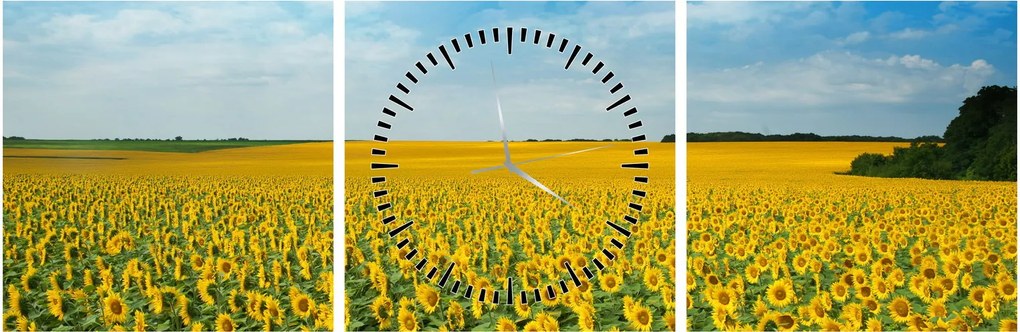 Tablou - câmp cu floarea soarelui (cu ceas) (90x30 cm)