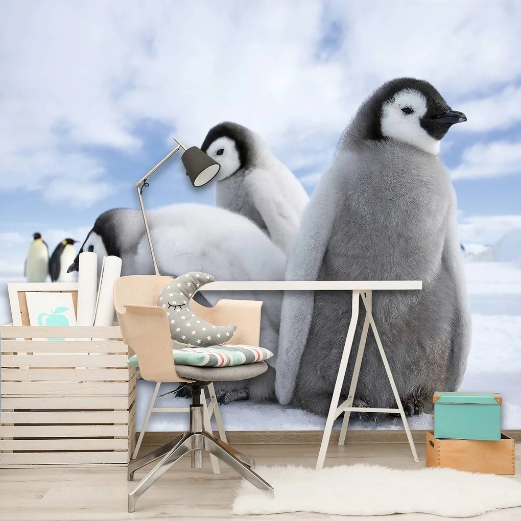 Fototapet - Pinguini (254x184 cm)