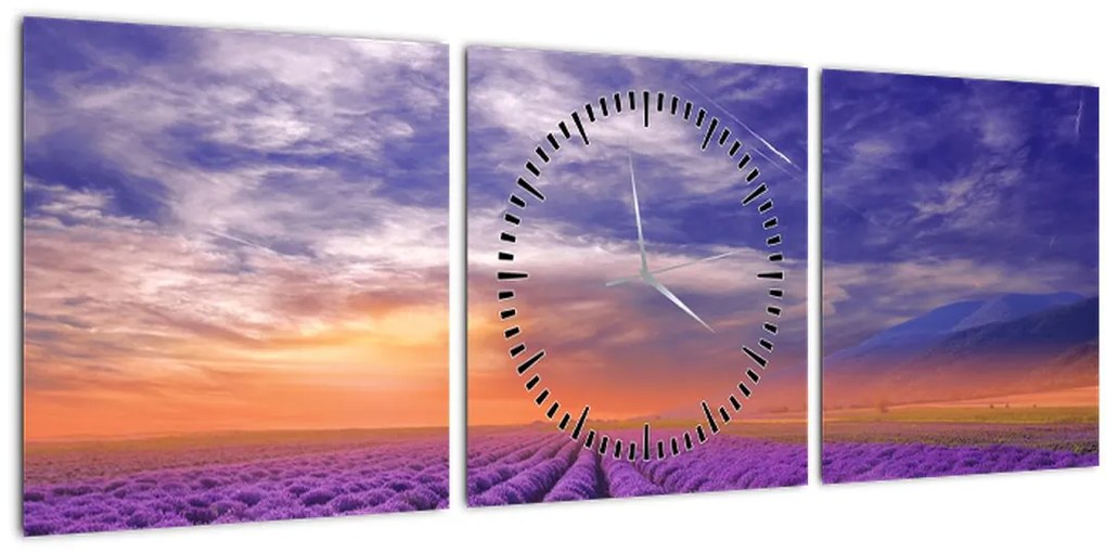 Tablou câmpului cu lavandă (cu ceas) (90x30 cm)