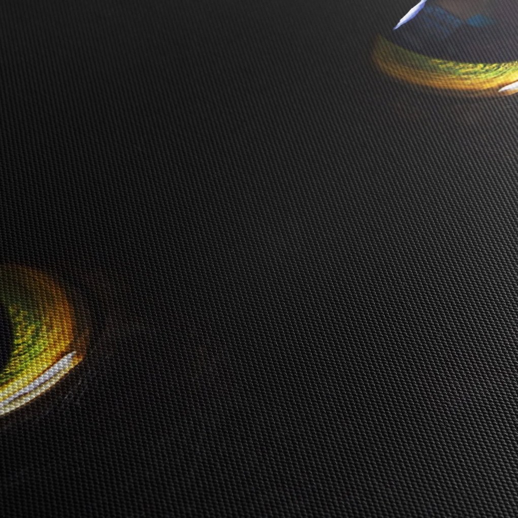 Tablou - Ochi de pisică (120x50 cm)