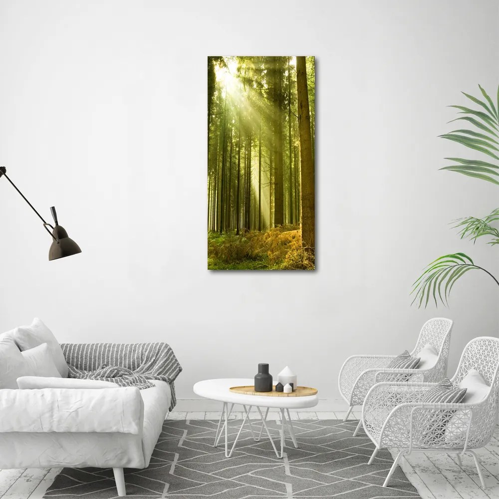 Tablou canvas Soare în pădure