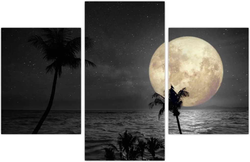 Tablou - Plaja cu lună plină, nuanțe gri (90x60 cm)