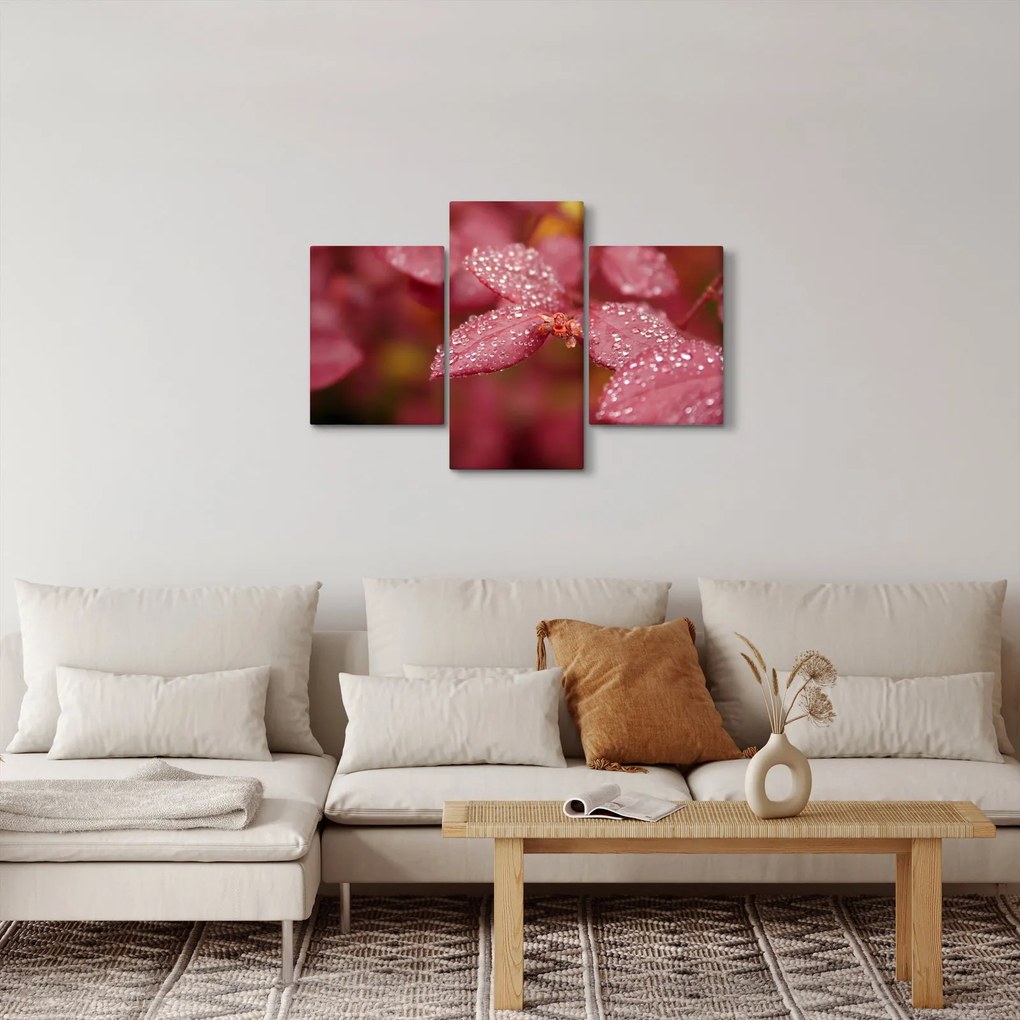 Tablou - Imagine macro a biletului (90x60 cm)