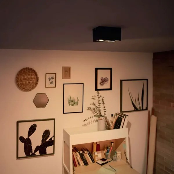 Spot LED MYLIVING BOX 2xLED/4,5W/230V Philips 50492/30/P0