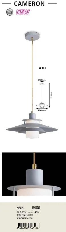 Pendul design industrial Cameron 4313 RX