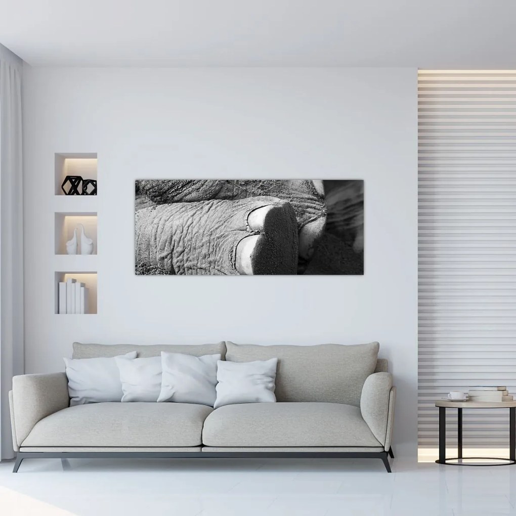 Tablou - Picior de elefant (120x50 cm)