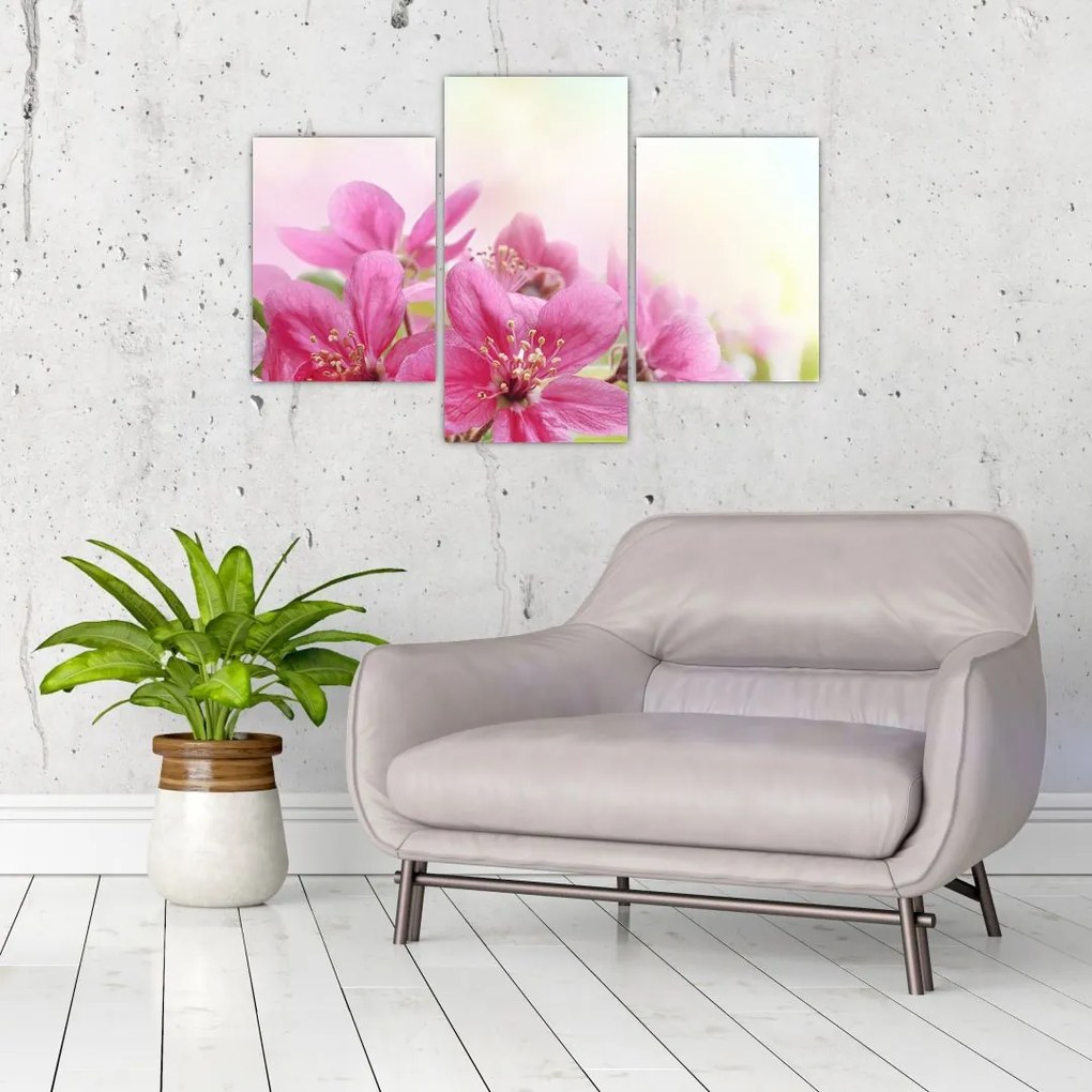 Tablou - Flori roz (90x60 cm)