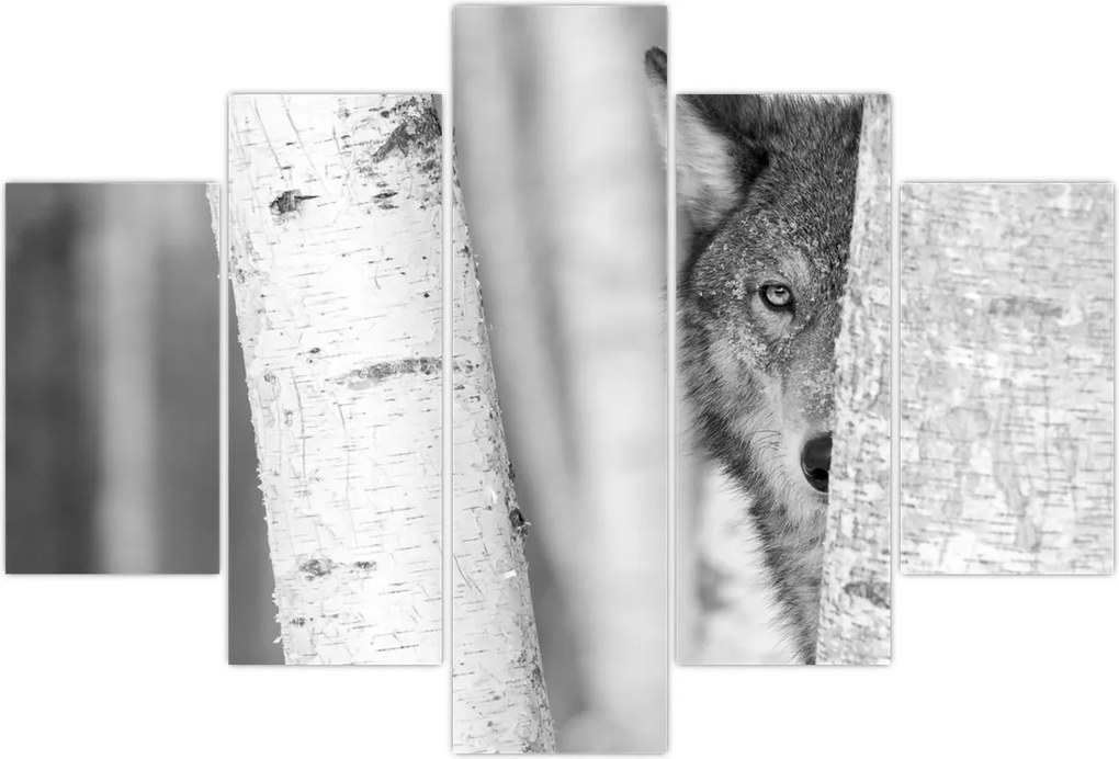 Tablou - Lupul din pădure (150x105 cm)