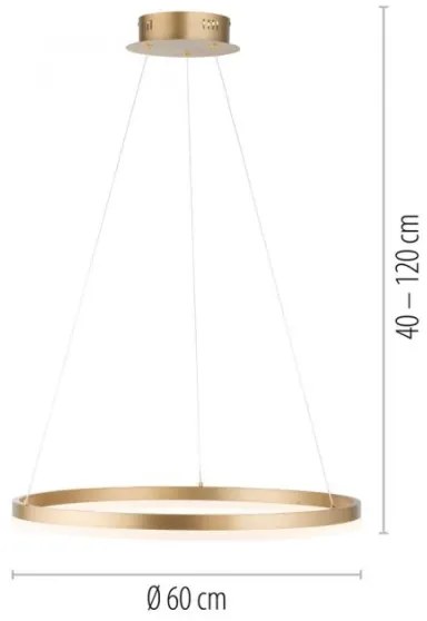 Lustră LED dimabilă pe cablu Paul Neuhaus 2382-60 TITUS LED/38,5W/230V