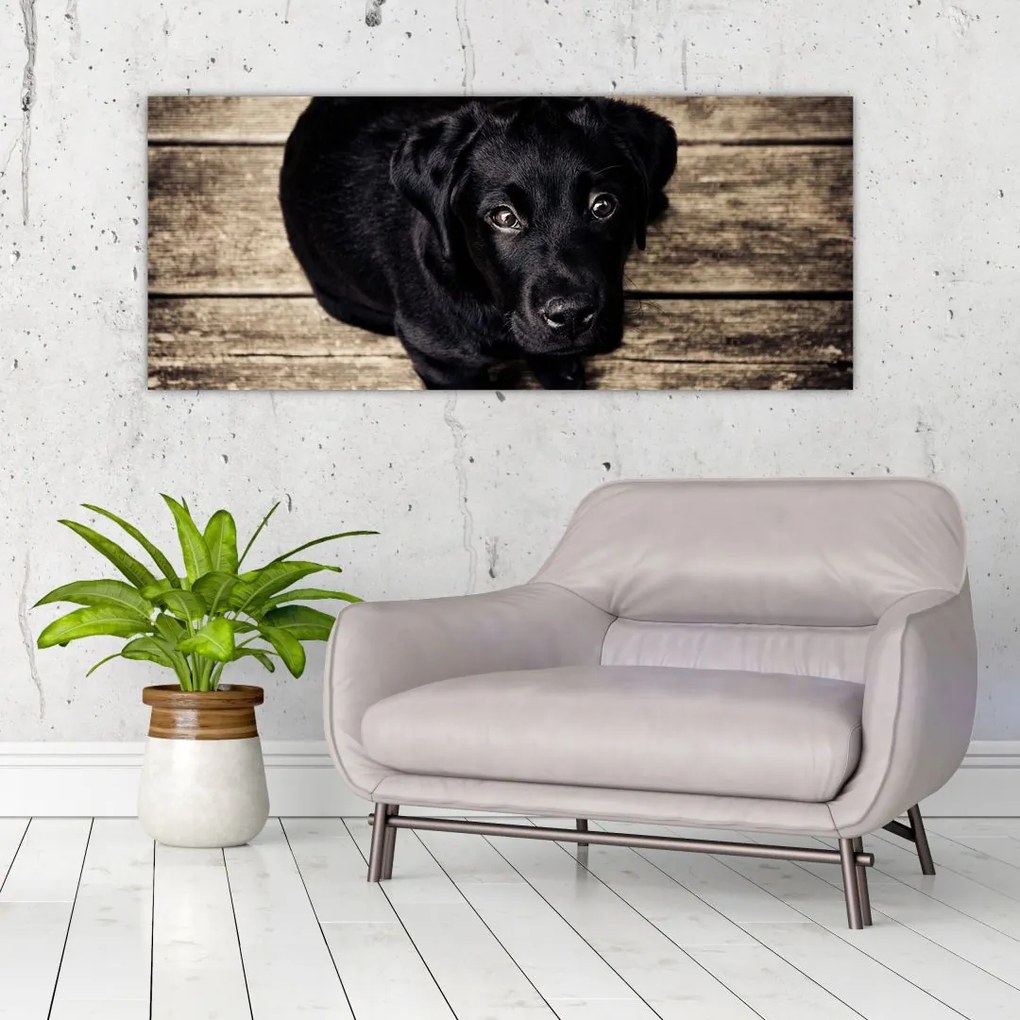 Tablou cu cățeluș negru (120x50 cm)