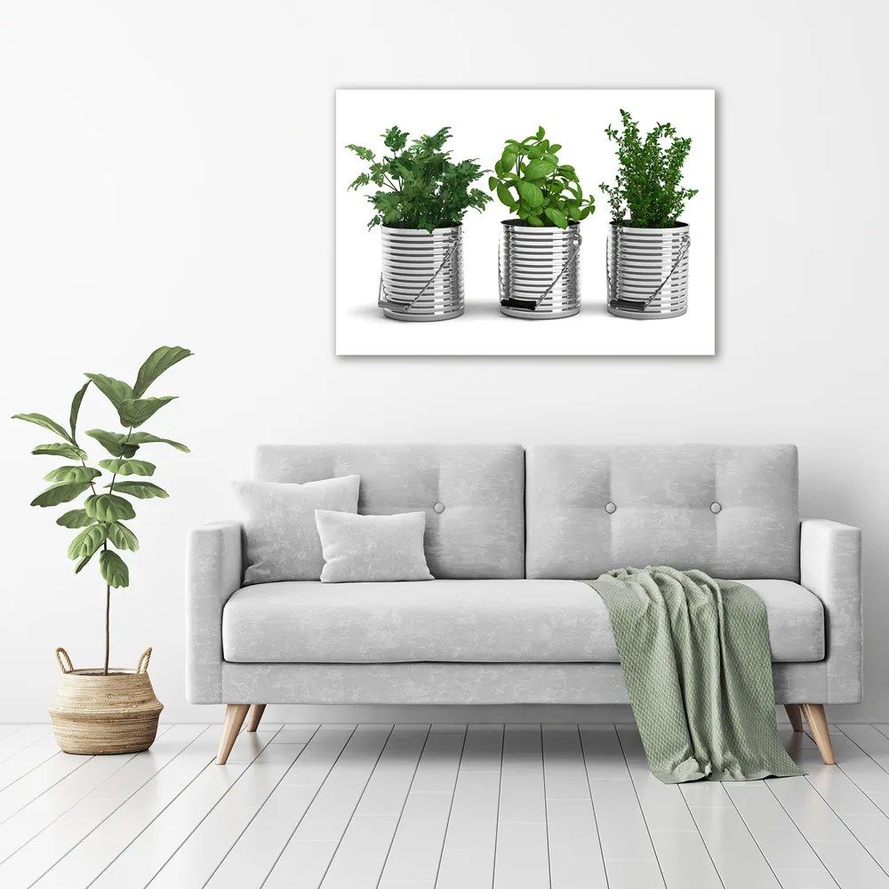 Pictură pe pânză Plante aromatice