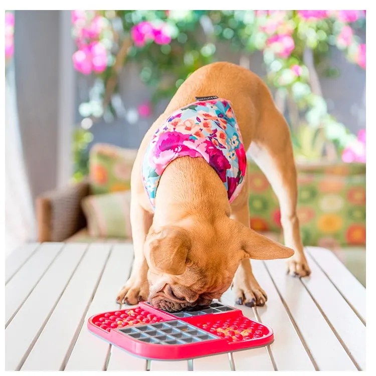 Covoraș de lins pentru animale de companie Slomo Red – LickiMat