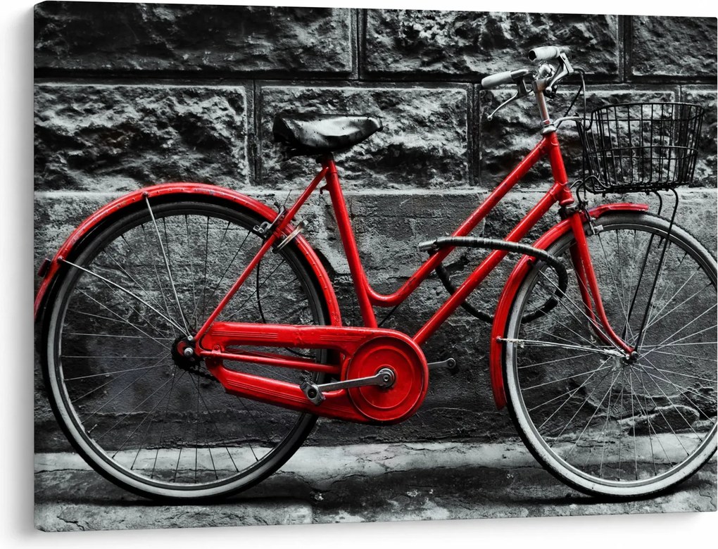 Tablou - Bicicleta istorică (70x50 cm)