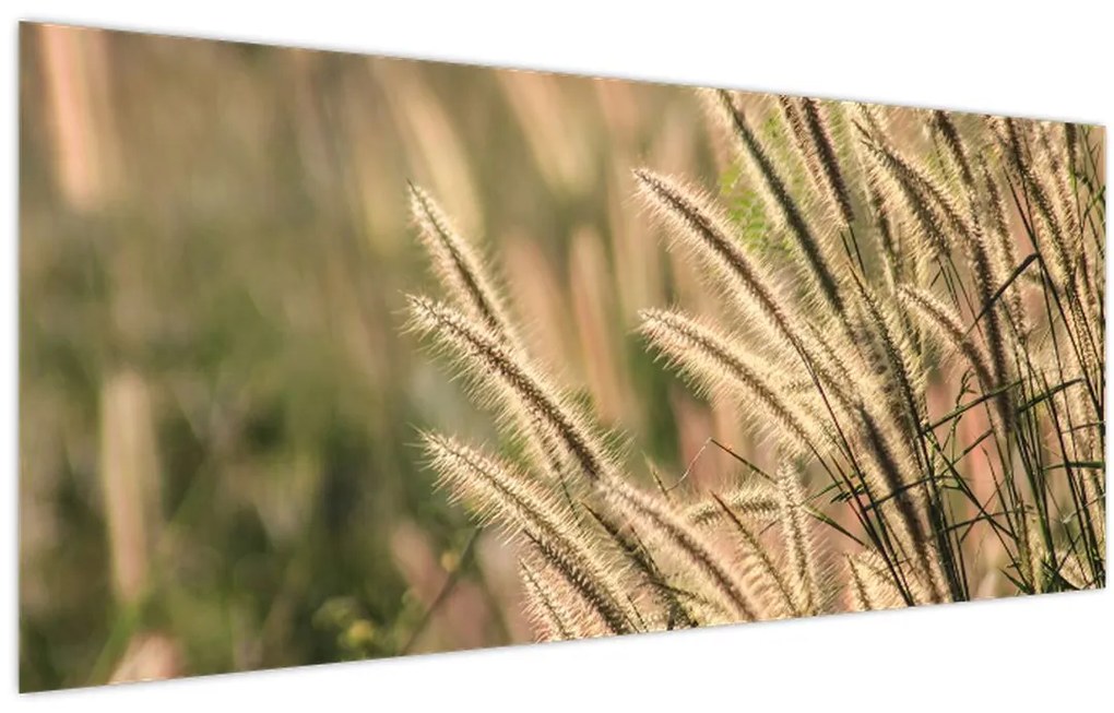 Tablou - Cereale (120x50 cm)