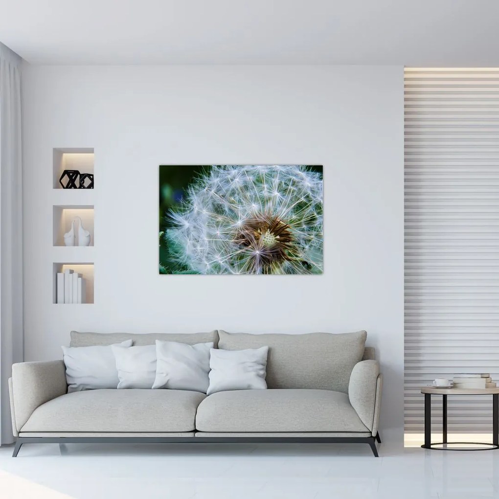 Tabloul cu păpădie desflorit (90x60 cm)
