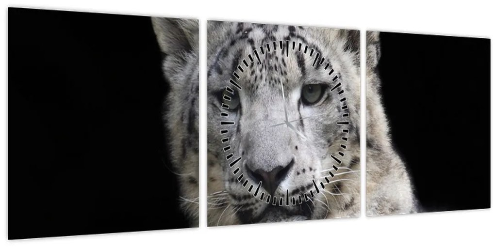 Tablou - Snow Leopard (cu ceas) (90x30 cm)