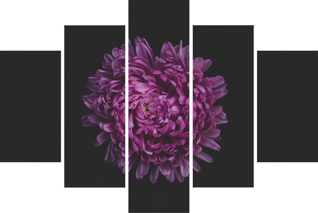 Tablou cu floare violetă (150x105 cm)