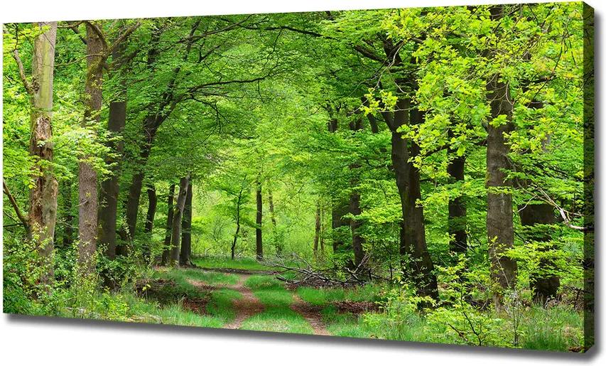 Tablou canvas Pădure de primăvară