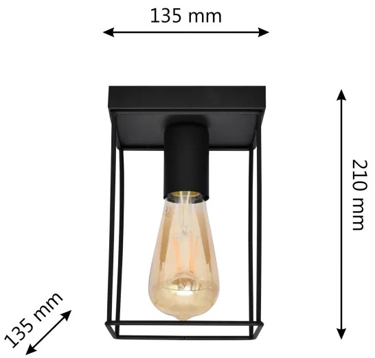 Plafonieră FINN 1xE27/15W/230V negru
