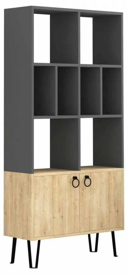Biblioteca Bene, Antracit / Stejar