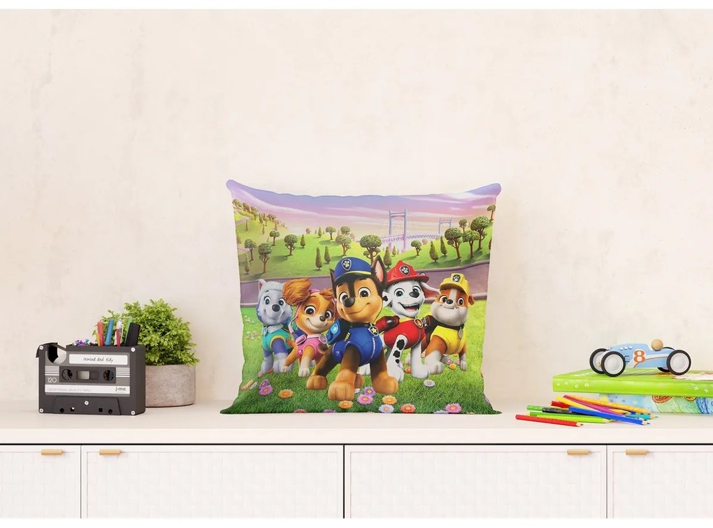 Perna pentru copii Paw Patrol, 40 x 40 cm