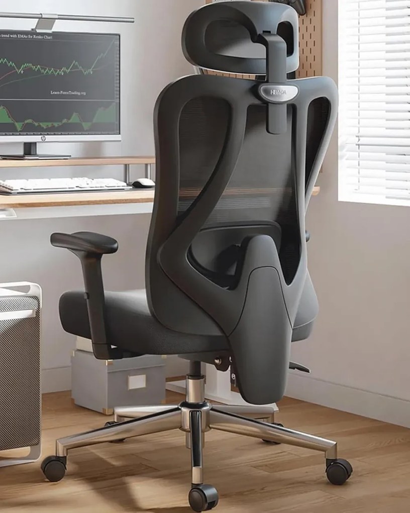 HBADA P3 Scaun ergonomic, cu suport lombar reglabil, tetieră reglabilă 2D, cotiere reglabile 2D, pivotant, Negru
