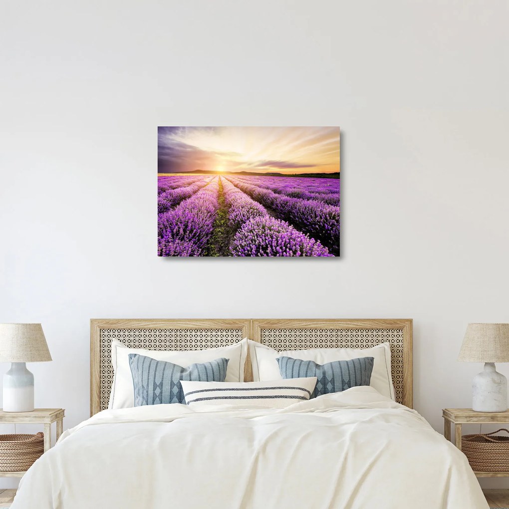 Tablou pe sticlă - Răsărit de soare în câmp de lavandă (70x50 cm)