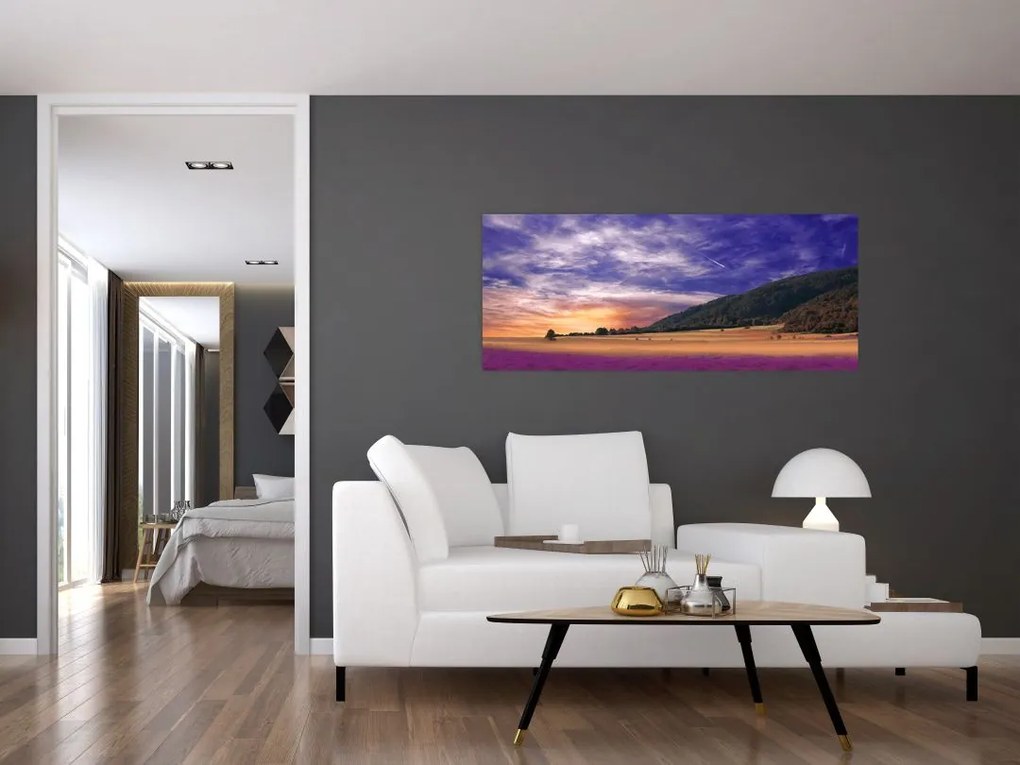 Tablou cu lunca cu lavandă (120x50 cm)