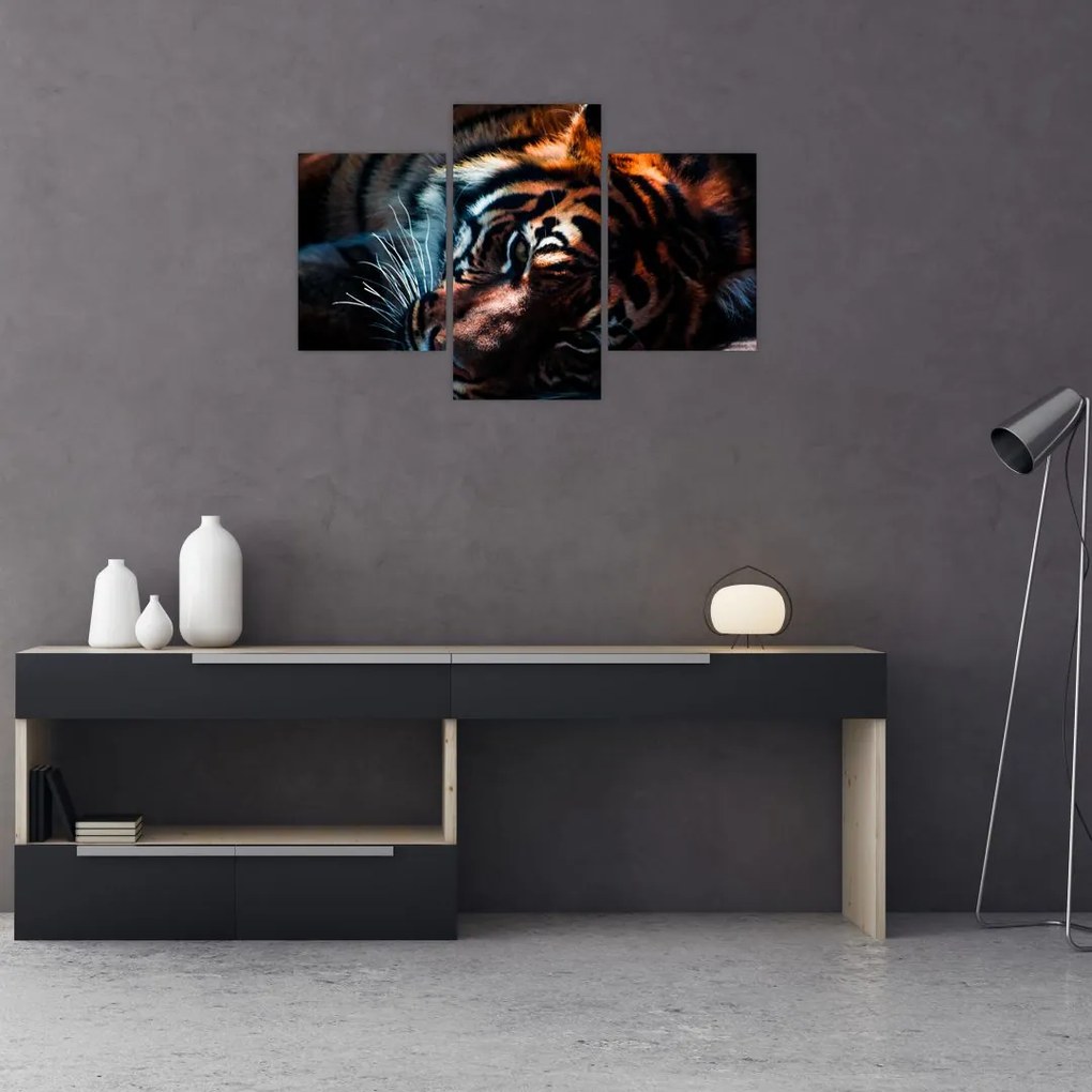 Tablou cu tigrul dormind (90x60 cm)