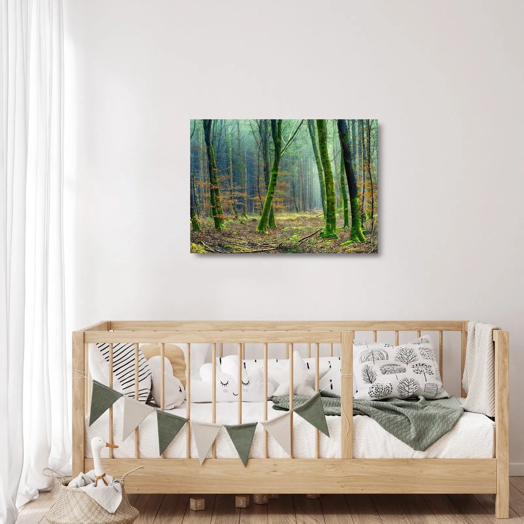 Tablou pe sticlă cu pădure (70x50 cm)
